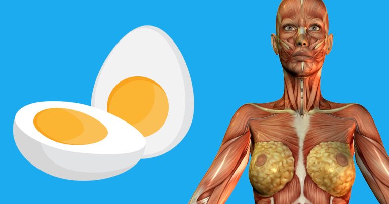 Is 4 Eggs a Day Bad For You?